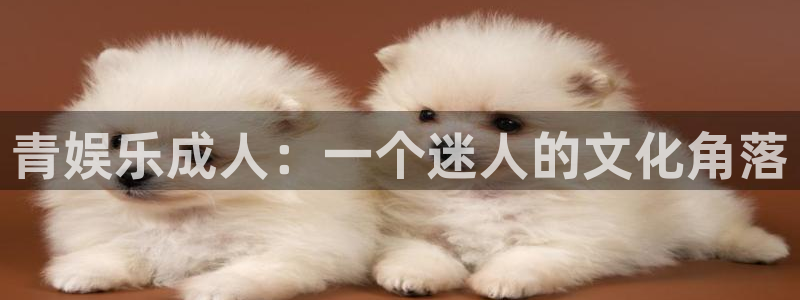 美狮贵宾会是大平台吗：青娱乐成人：一个迷人的文化角落