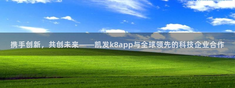美狮贵宾会链接：携手创新，共创未来——凯发k8app与全球领先的科技企业合作