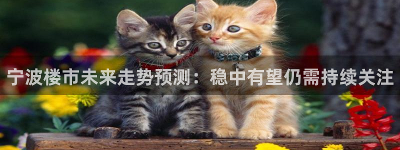 美狮贵宾会4官网：宁波楼市未来走势预测：稳中有望仍需持续关注