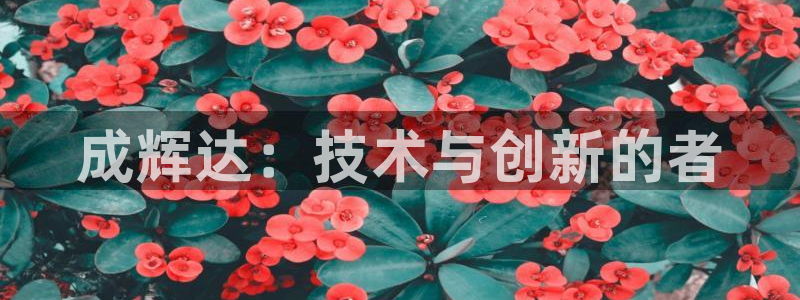 美狮贵宾会游戏：成辉达：技术与创新的者