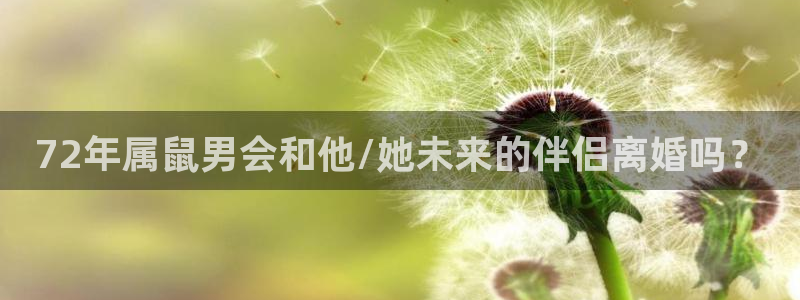 美狮贵宾会体育注册平台：72年属鼠男会和他/她未来的伴侣离婚吗？