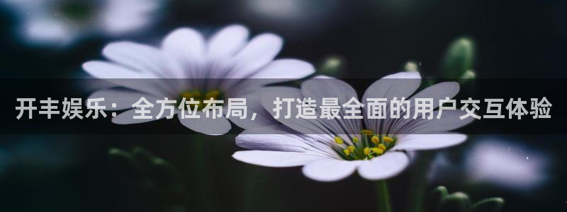 美狮贵宾会.ccm官网版：开丰娱乐：全方位布局，打造最全面的用户交互体验