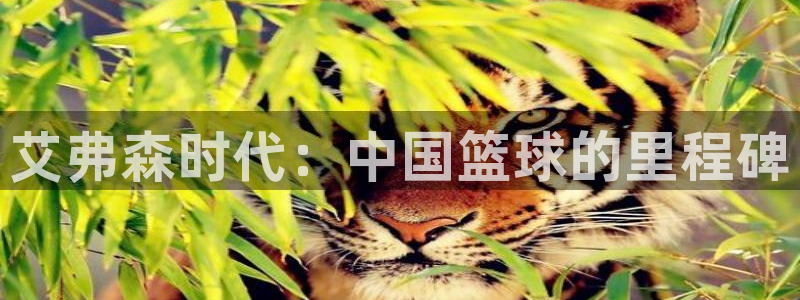 美狮贵宾会预测在线预测：艾弗森时代：中国篮球的里程碑