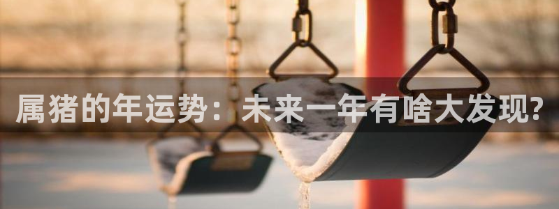 美狮贵宾会平台官网入口下载：属猪的年运势：未来一年有啥大发现?