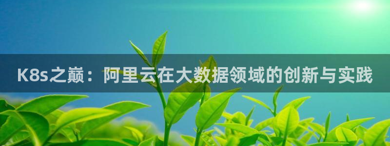 美狮贵宾会平台开户：K8s之巅：阿里云在大数据领域的创新与实践