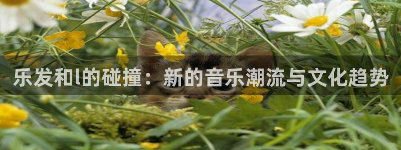 美狮贵宾会平台最新版本下载：乐发和l的碰撞：新的音乐潮流与文化趋势