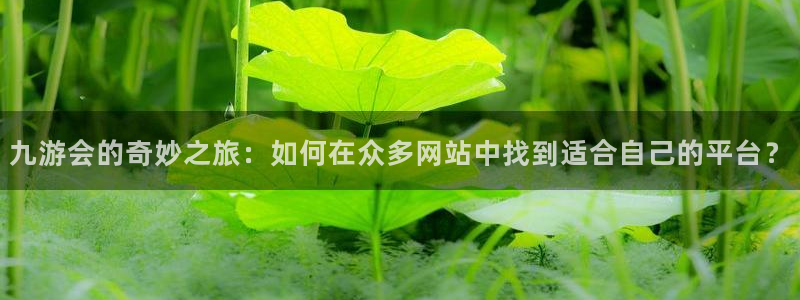 美狮贵宾会3官网登录：九游会的奇妙之旅：如何在众多网站中找到适合自己的平台？