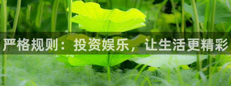 美狮贵宾会体育官网入口登录：严格规则：投资娱乐，让生活更精彩