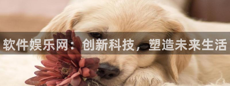 美狮贵宾会ccmpc麻将胡了：软件娱乐网：创新科技，塑造未来生活