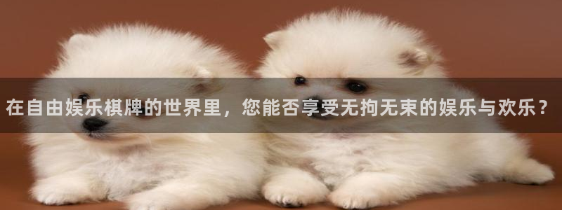 美狮贵宾会体育游戏：在自由娱乐棋牌的世界里，您能否享受无拘无束的娱乐与欢乐？