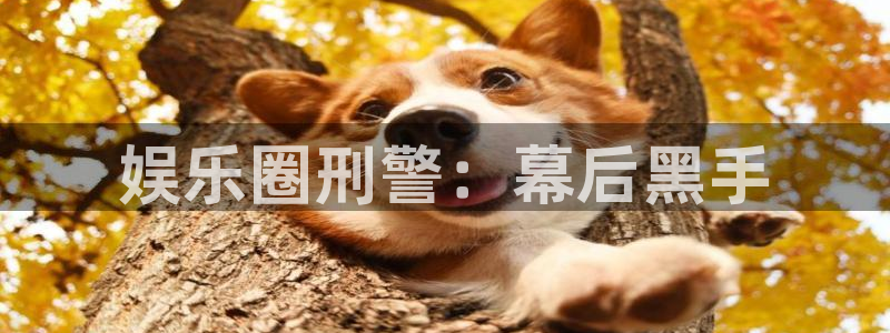 美狮贵宾会是大平台吗