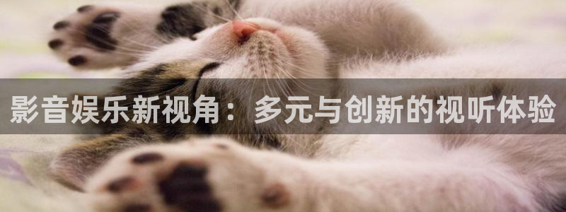 美狮贵宾会娱乐：影音娱乐新视角：多元与创新的视听体验
