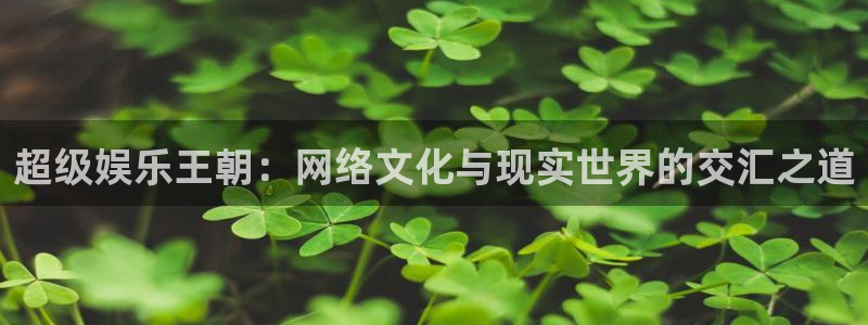 美狮贵宾会网站：超级娱乐王朝：网络文化与现实世界的交汇之道