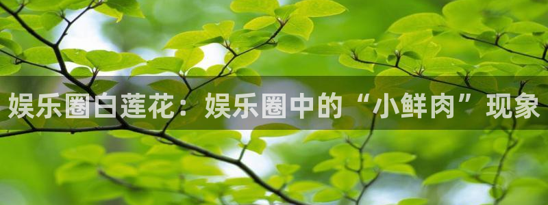 美狮贵宾会注册：娱乐圈白莲花：娱乐圈中的“小鲜肉”现象