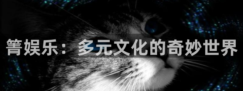 美狮贵宾会可靠吗：箐娱乐：多元文化的奇妙世界