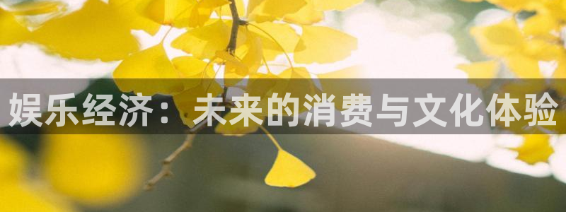 美狮贵宾会4：娱乐经济：未来的消费与文化体验