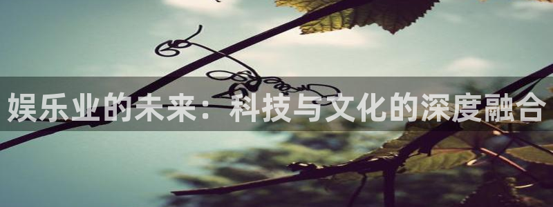 美狮贵宾会app 是什么：娱乐业的未来：科技与文化的深度融合