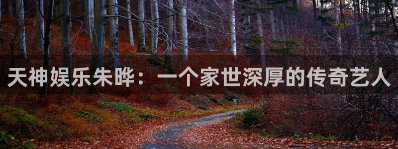 美狮贵宾会那个爆率高：天神娱乐朱晔：一个家世深厚的传奇艺人