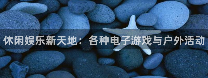 美狮贵宾会可靠吗：休闲娱乐新天地：各种电子游戏与户外活动