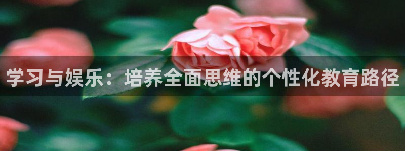 美狮贵宾会账号注册入口：学习与娱乐：培养全面思维的个性化教育路径