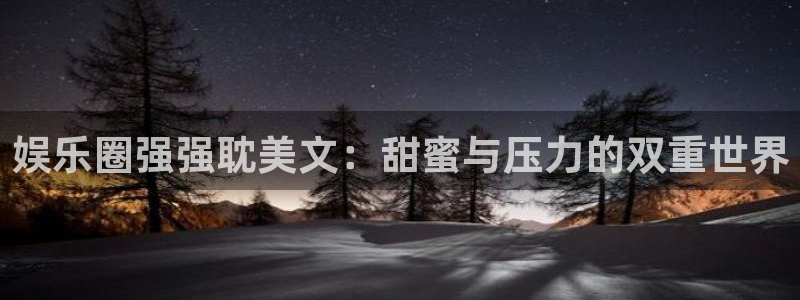 美狮贵宾会电子有限公司：娱乐圈强强耽美文：甜蜜与压力的双重世界