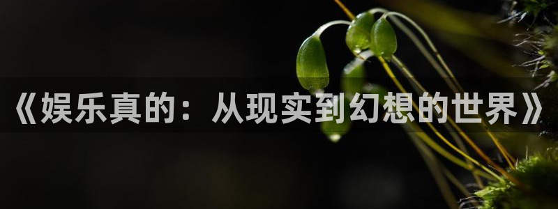 美狮贵宾会4代理：《娱乐真的：从现实到幻想的世界》