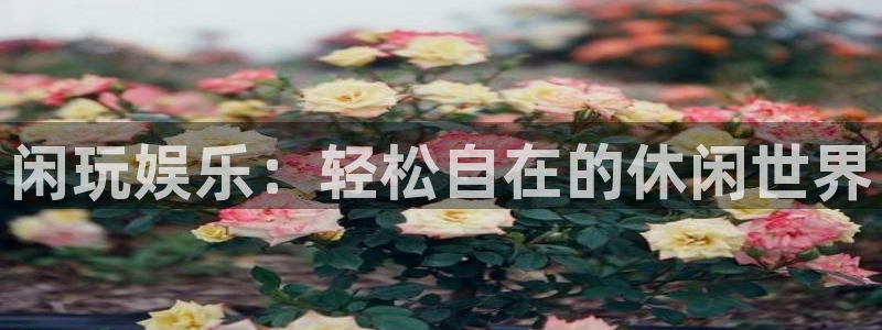 美狮贵宾会体育合法嘛：闲玩娱乐：轻松自在的休闲世界