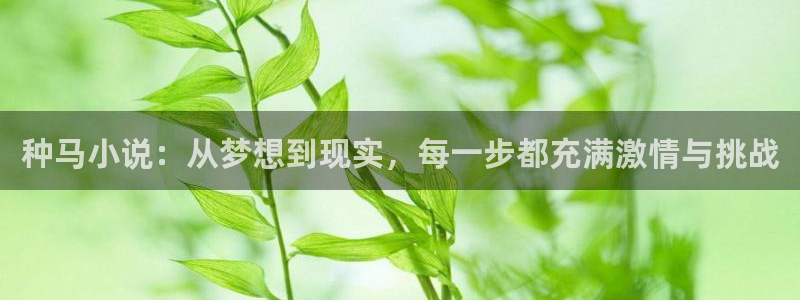 美狮贵宾会2登录入口：种马小说：从梦想到现实，每一步都充满激情与挑战