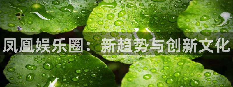 美狮贵宾会平台注册：凤凰娱乐圈：新趋势与创新文化