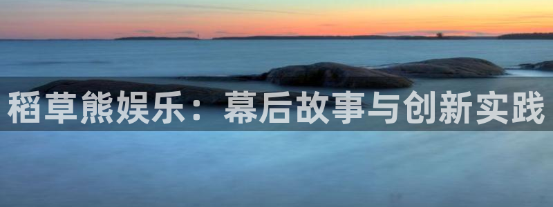 美狮贵宾会平台官网登录入口：稻草熊娱乐：幕后故事与创新实践