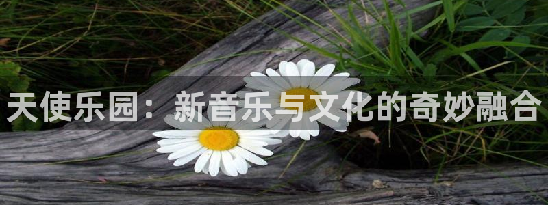 美狮贵宾会平台在线开户：天使乐园：新音乐与文化的奇妙融合