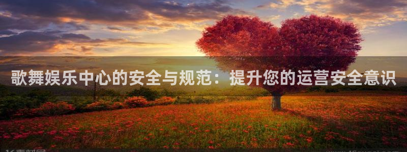 美狮贵宾会下载并安装：歌舞娱乐中心的安全与规范：提升您的运营安全意识