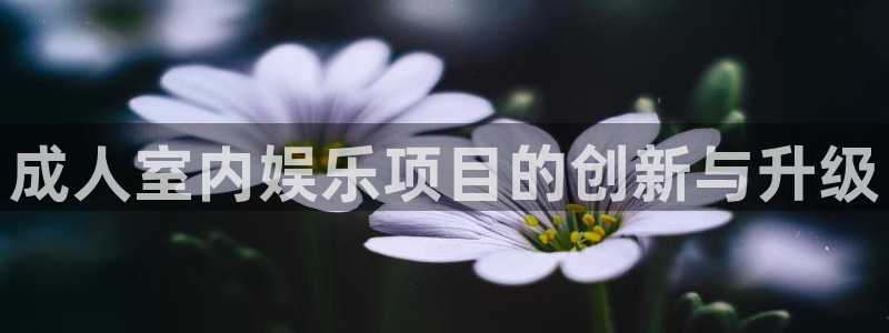 美狮贵宾会在线预测：成人室内娱乐项目的创新与升级