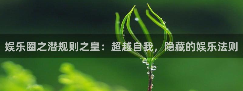 美狮贵宾会下载二维码：娱乐圈之潜规则之皇：超越自我，隐藏的娱乐法则