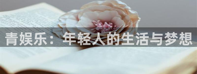 东莞市美狮贵宾会电子科技有限公司：青娱乐：年轻人的生活与梦想