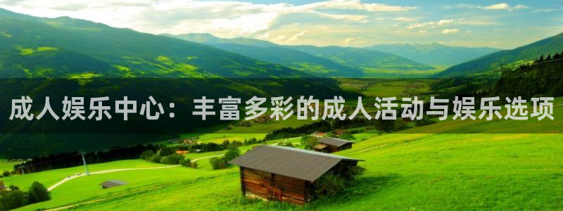 美狮贵宾会平台开户：成人娱乐中心：丰富多彩的成人活动与娱乐选项