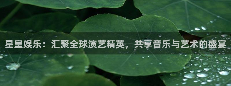 美狮贵宾会下载：星皇娱乐：汇聚全球演艺精英，共享音乐与艺术的盛宴
